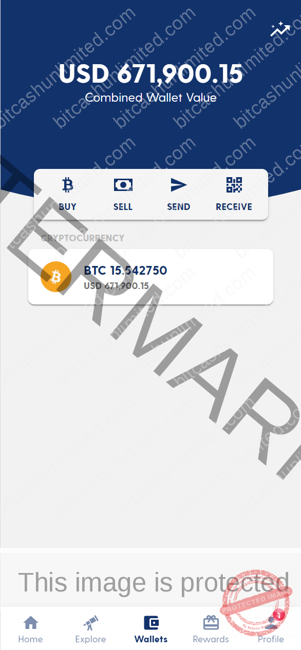 bitcoin adder 2022 download