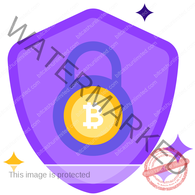 bitcoin encryption icon