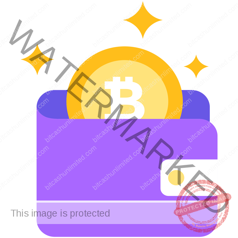 wallet bitcoin icon